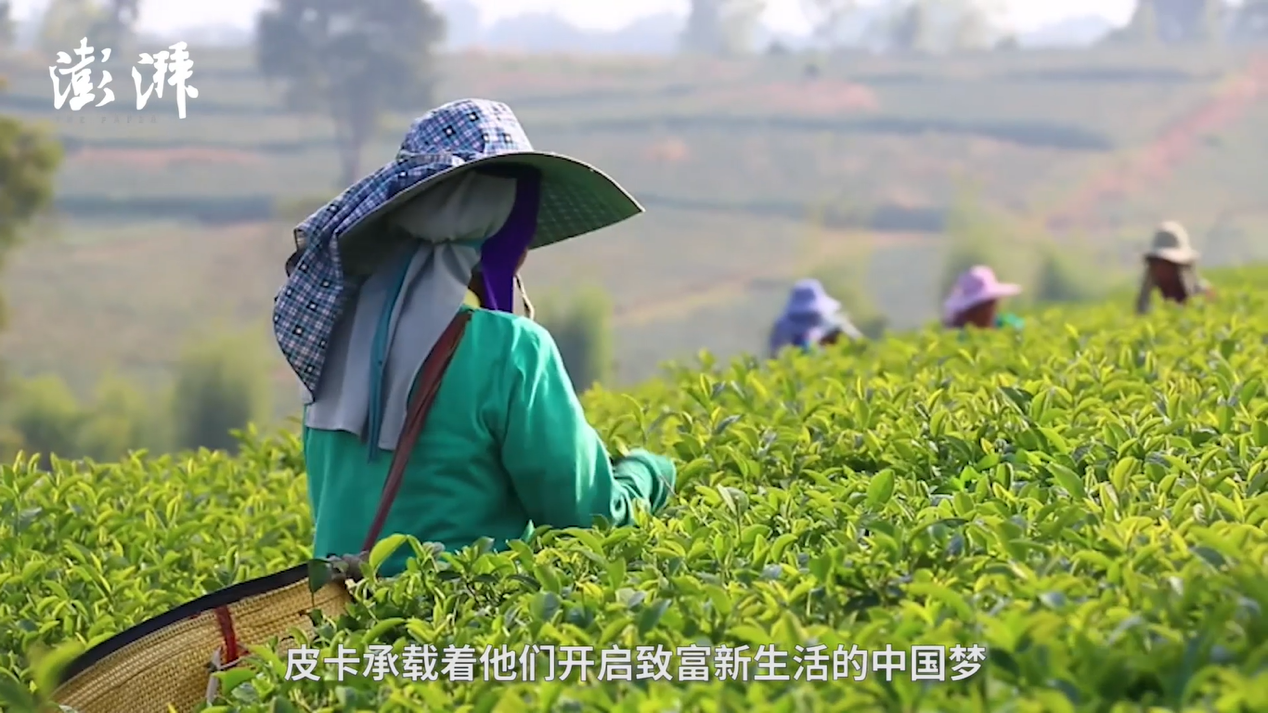 图片27.png