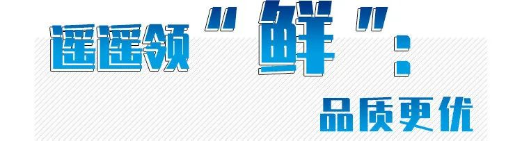 图片32.png